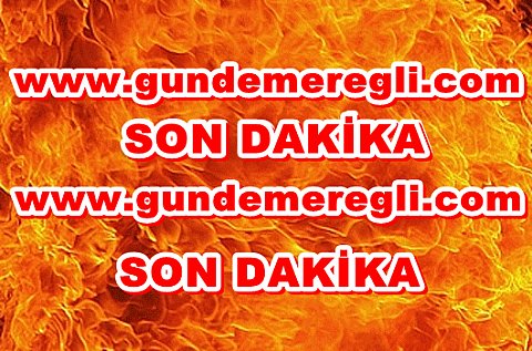 SUÇ ÖRGÜTÜ ÇÖKERTİLDİ