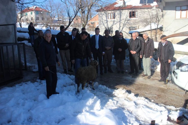 Yığılca Kaymakamı Yelek'ten köy ziyaretleri