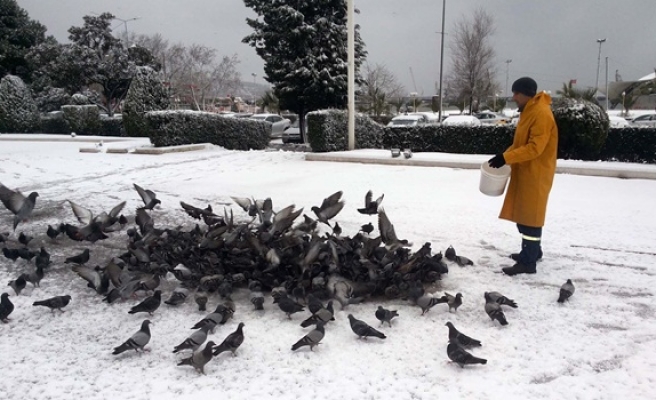 Sokak hayvanları unutulmadı