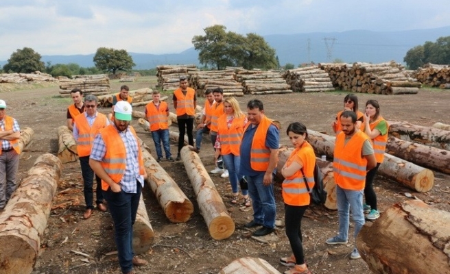 Ormanda eğitim!..