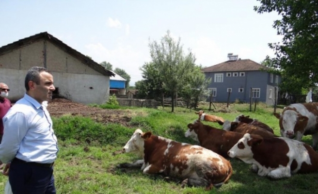 Uzman eller projesi Düzce’de başladı