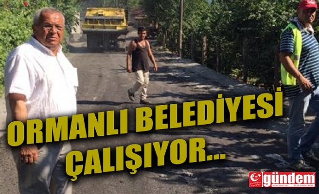 ORMANLI BELEDİYESİ ASFALT ÇALIŞMALARINA BAŞLADI