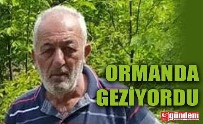 ORMANDA GEZERKEN KALP KRİZİ GEÇİRDİ