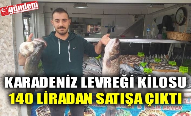 KARADENİZ LEVREĞİ KİLOSU 140 LİRADAN SATIŞA ÇIKTI