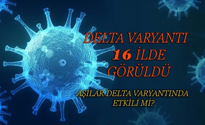 DELTA VARYANTI 16 İLDE GÖRÜLDÜ