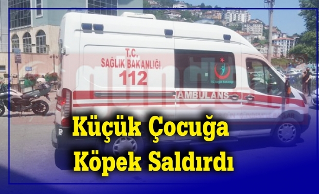 Küçük Çocuğa  Köpek Saldırdı!