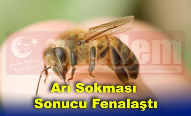 Arı Sokması Sonucu Fenalaşan Bir Kişi Hastaneye Kaldırıldı.