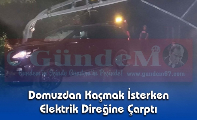 Domuzdan Kaçmak İsterken Elektrik Direğine Çarptı