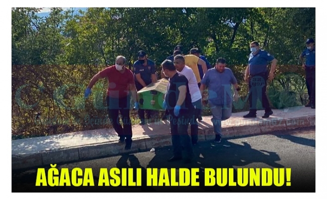 AĞACA ASILI HALDE BULUNDU!