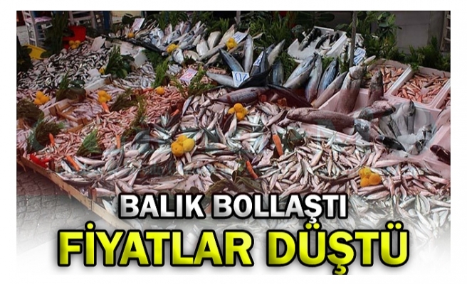 BALIK BOLLAŞTI FİYATLAR DÜŞTÜ!