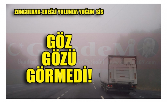 ZONGULDAK-EREĞLİ YOLUNDA YOĞUN  SİS