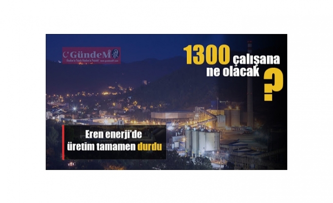 Eren enerji'de üretim tamamen durdu,1300 çalışana ne olacak?