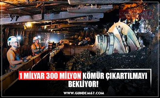 1 MİLYAR 300 MİLYON KÖMÜR ÇIKARTILMAYI BEKLİYOR!