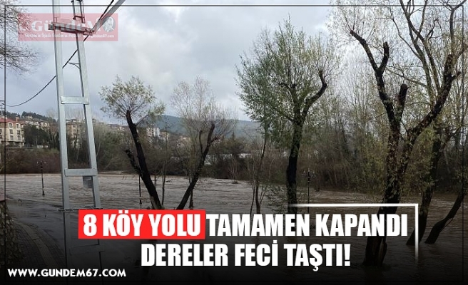 8 KÖY YOLU TAMAMEN KAPANDI! DERELER FECİ TAŞTI!