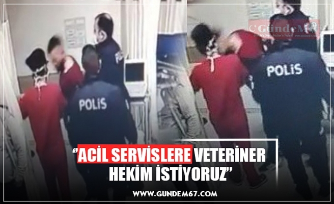 ‘’ACİL SERVİSLERE VETERİNER  HEKİM İSTİYORUZ’’