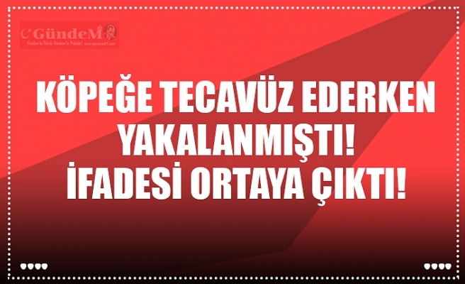 KÖPEĞE TECAVÜZ EDERKEN YAKALANMIŞTI! İFADESİ ORTAYA ÇIKTI!