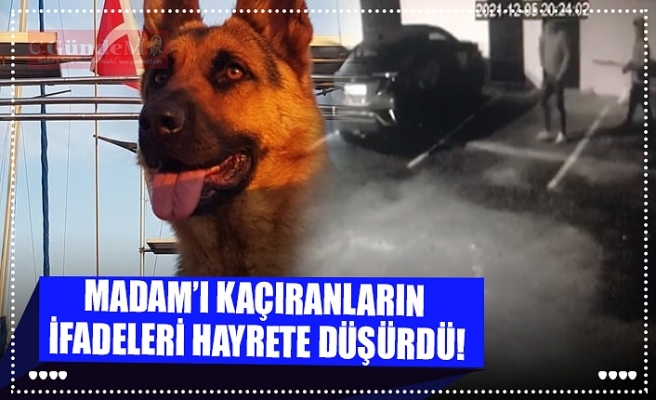 MADAM’I KAÇIRANLARIN  İFADELERİ HAYRETE DÜŞÜRDÜ!