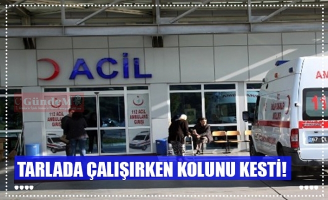 TARLADA ÇALIŞIRKEN KOLUNU KESTİ!