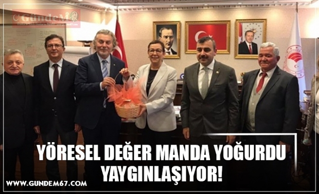 YÖRESEL DEĞER MANDA YOĞURDU YAYGINLAŞIYOR!