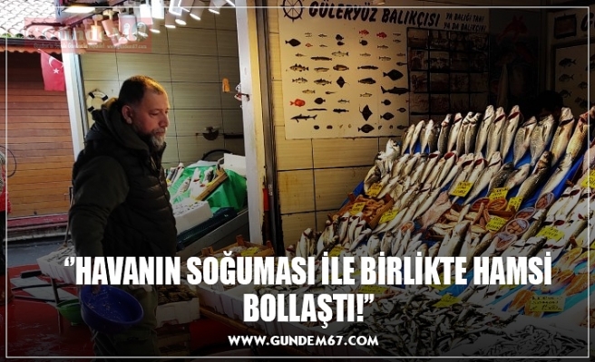 ‘’HAVANIN SOĞUMASI İLE BİRLİKTE HAMSİ BOLLAŞTI!’’