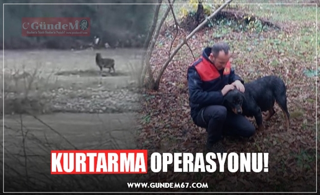 KURTARMA OPERASYONU!