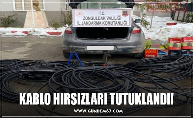 KABLO HIRSIZLARI TUTUKLANDI!