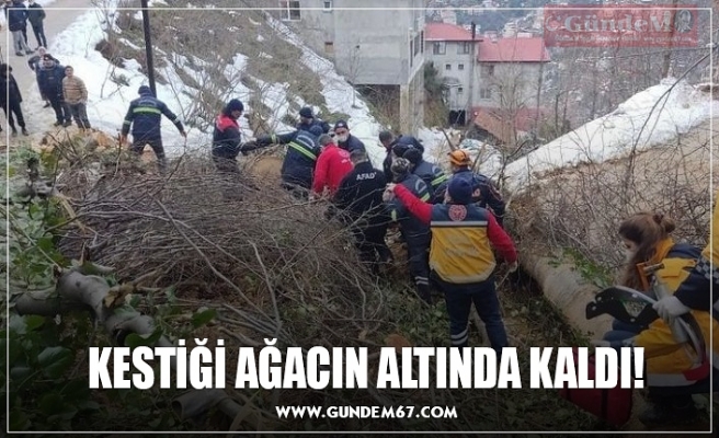 KESTİĞİ AĞACIN ALTINDA KALDI!