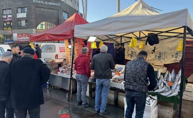 Zonguldak'ta balık fiyatları tavan yaptı!