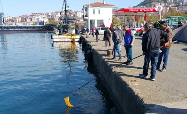 Karadenizde deniz suyunun aniden soğuması balıkları şoka soktu