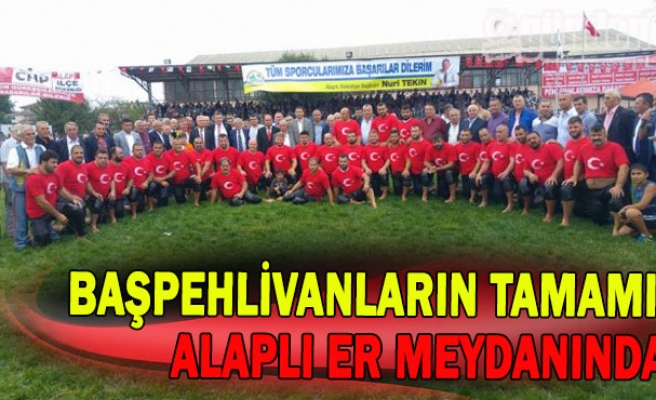 Başpehlivanların tamamı Alaplı Er meydanında