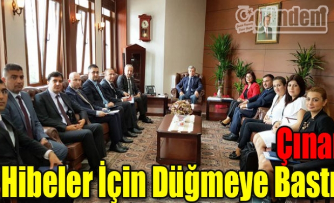 Çınar hibeler için düğmeye bastı