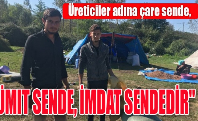 Üreticiler adına çare sende, ümit sende, imdat sendedir"