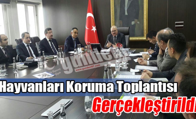 Hayvanları Koruma Toplantısı Gerçekleştirildi