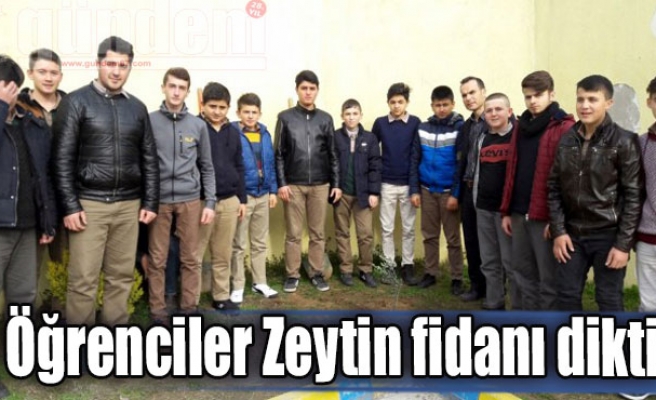 Öğrenciler Zeytin fidanı dikti