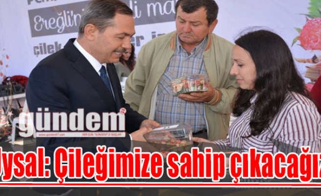 Uysal: Çileğimize sahip çıkacağız