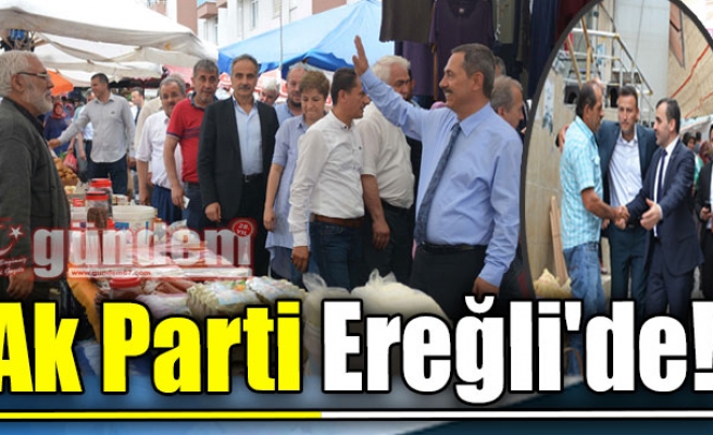 Ak Parti Ereğli'de!