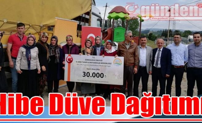 Ereğli'de Hibe Düve Dağıtımı