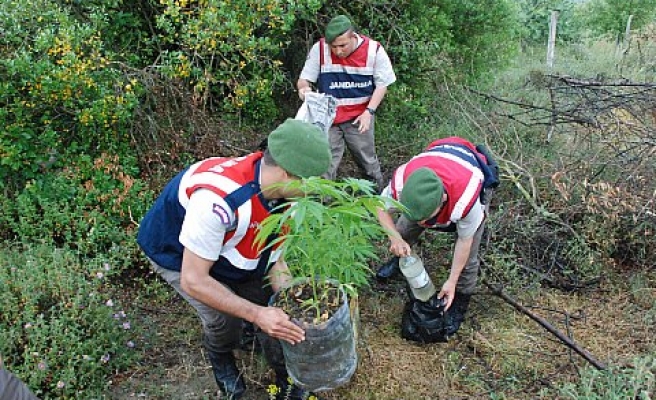 JANDARMA´DAN  OPERASYON