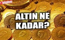 ALTIN NE KADAR?