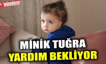 MİNİK TUĞRA YARDIM BEKLİYOR