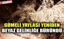 GÜMELİ YAYLASI YENİDEN BEYAZ GELİNLİĞE BÜRÜNDÜ