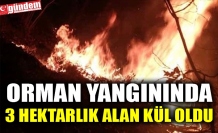 ORMAN YANGININDA 3 HEKTARLIK ALAN KÜL OLDU