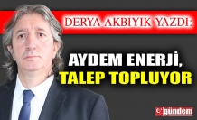 Aydem Enerji, Talep Topluyor