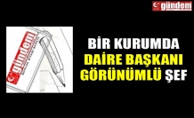 BİR KURUMDA DAİRE BAŞKANI GÖRÜNÜMLÜ ŞEF