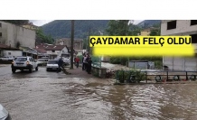 ÇAYDAMAR FELÇ OLDU.