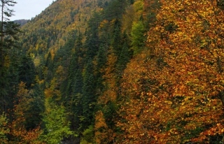 Foto safari etkinliği düzenlendi