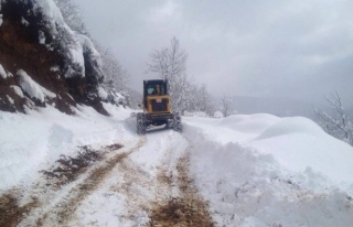 Gümelide karla mücadeleye devam