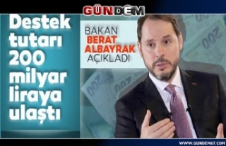 Bakan Albayrak toplam destek tutarını açıkladı...