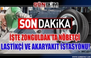 Zonguldak'ta Nöbetçi Lastikçi ve Akaryakıt...