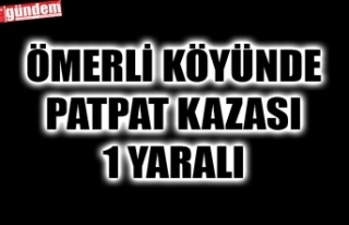 ÖMERLİ KÖYÜNDE PATPAT KAZASI:  1 YARALI